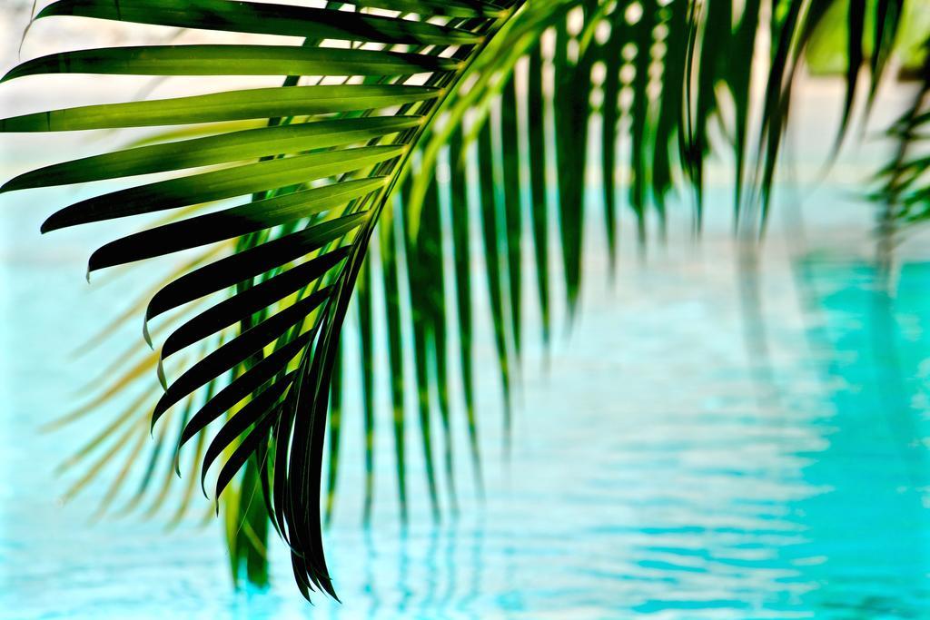 The Diplomat Boutique Hotel 4*